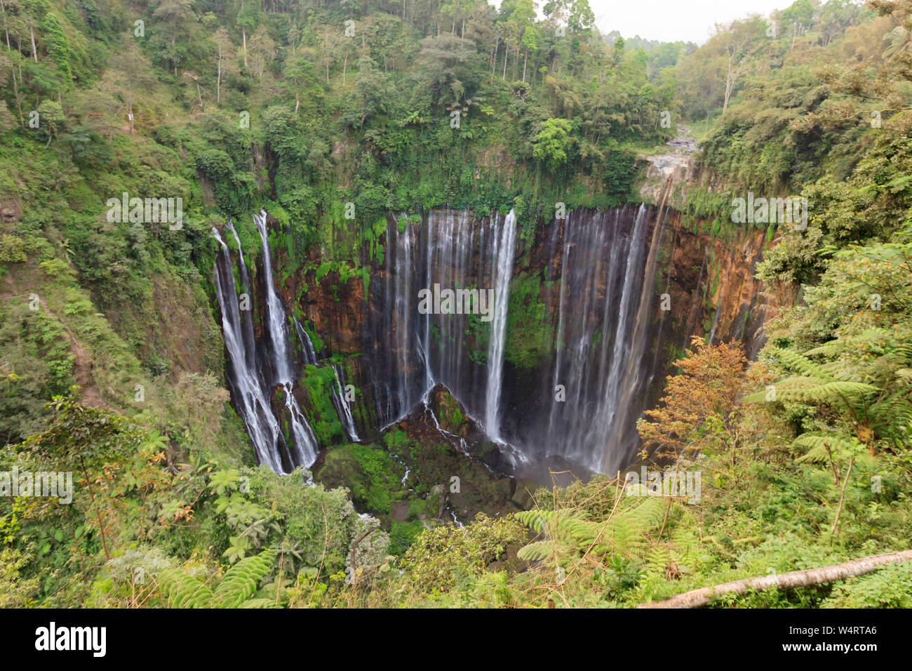 Die chupan Sewu Wasserfall, in der Nähe von Malang, Java, Indonesien Stockfoto