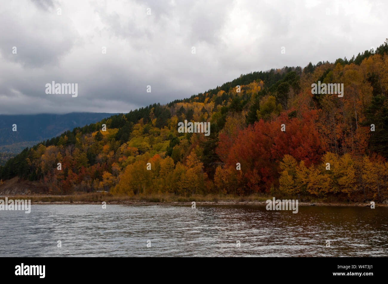 Baikalsee Russland, Farben in den Bäumen am Ufer des chivyrkuysky Bay Stockfoto