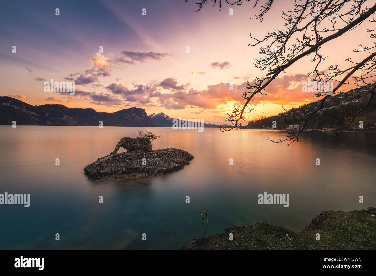 Elephant Island, Vitznau, Luzern, Schweiz Stockfoto