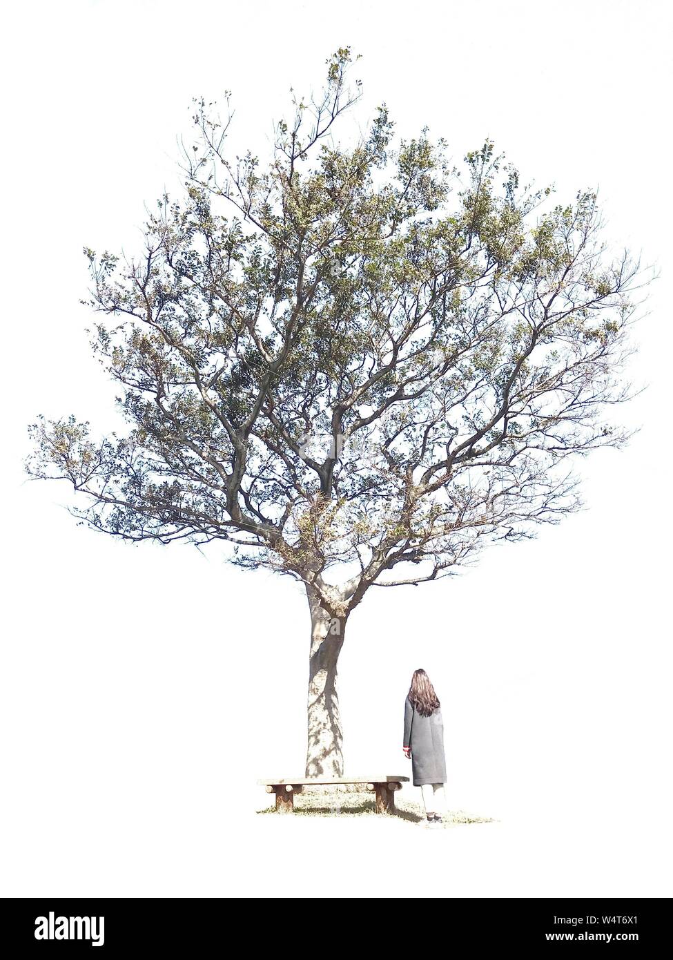 Die Frau, die durch einen Baum stehend, Südkorea Stockfoto