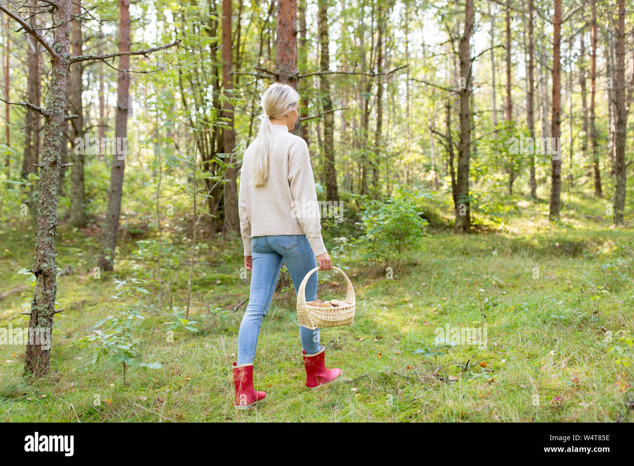 Junge Frau Pilze im Herbst Wald Stockfoto