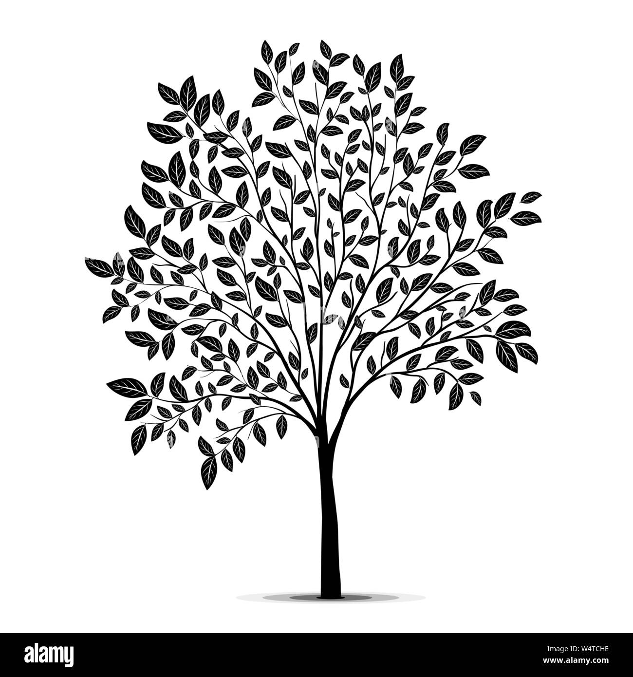 Baum mit Blättern silhouette Vektor Stock Vektor