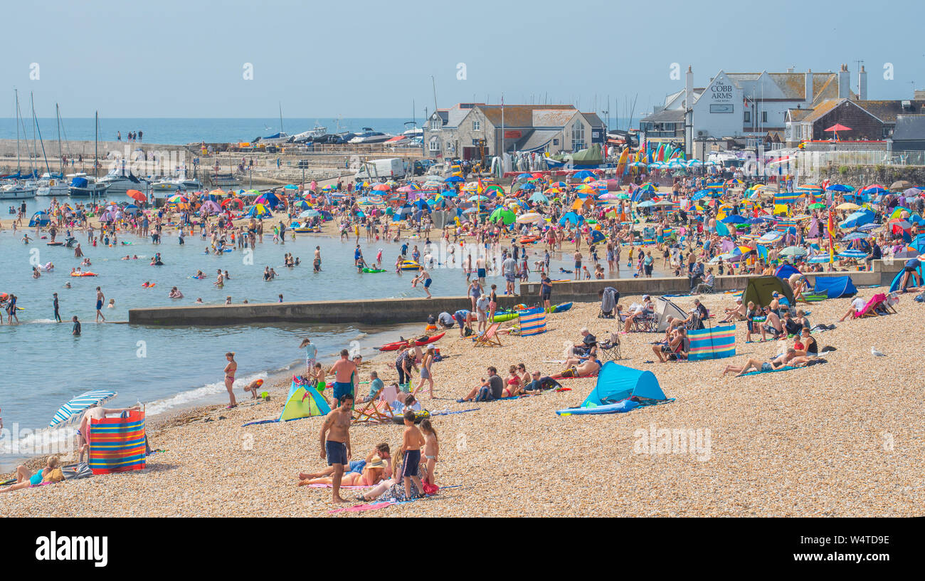 Lyme Regis, Dorset, Großbritannien. 25. Juli 2019. UK Wetter: Massen von sunskeekers Erfrieren in rekordverdächtige Wärme am Strand an der Küste von Lyme Regis auf was erwartet wird, der heisseste Tag werden im Vereinigten Königreich überhaupt. Britische Urlauber erfrieren in Sizzling Hot Sunshine auf gepackten Strand der Stadt die Temperaturen steigen auf 40 Grad. Die Kühlung ist willkommene Abwechslung von der sengenden Hitze als Juli Hitzewelle weiter. Credit: Celia McMahon/Alamy Leben Nachrichten. Stockfoto