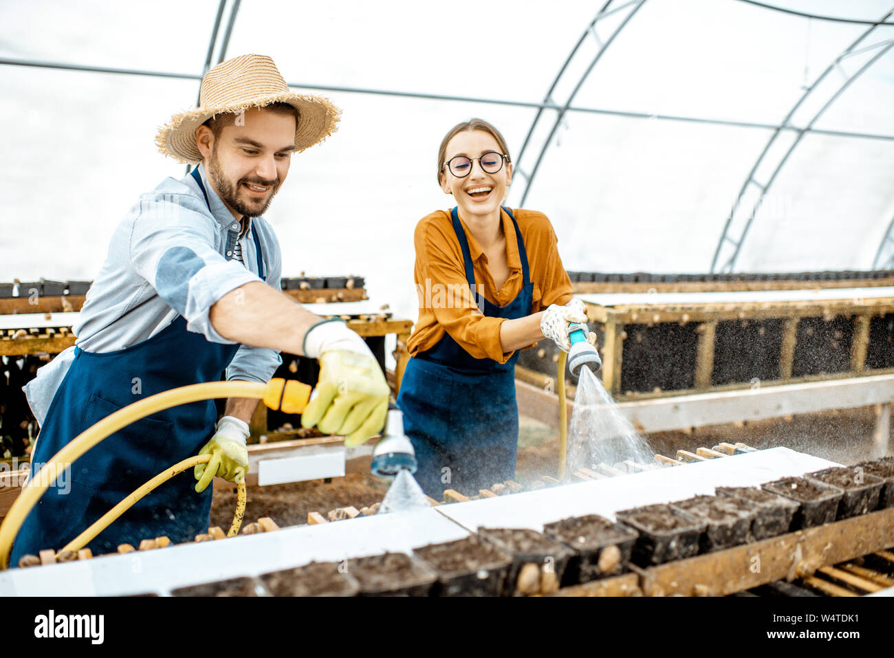 Der Mann und die Frau arbeiten im Gewächshaus auf einem Bauernhof für wachsende Schnecken, Regale mit Wasserpistole. Konzept der Landwirtschaft Schnecken für Essen Stockfoto