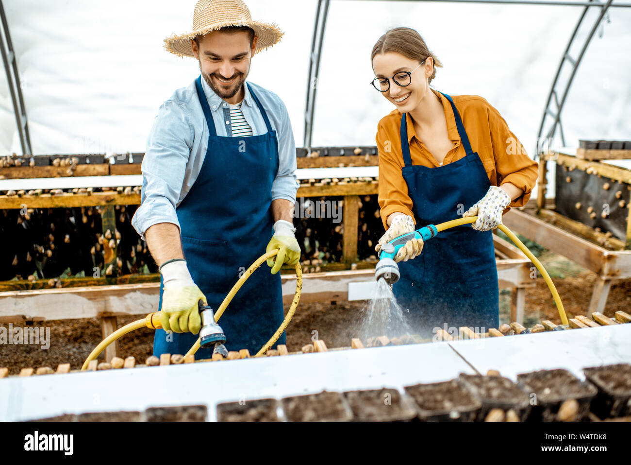 Der Mann und die Frau arbeiten im Gewächshaus auf einem Bauernhof für wachsende Schnecken, Regale mit Wasserpistole. Konzept der Landwirtschaft Schnecken für Essen Stockfoto