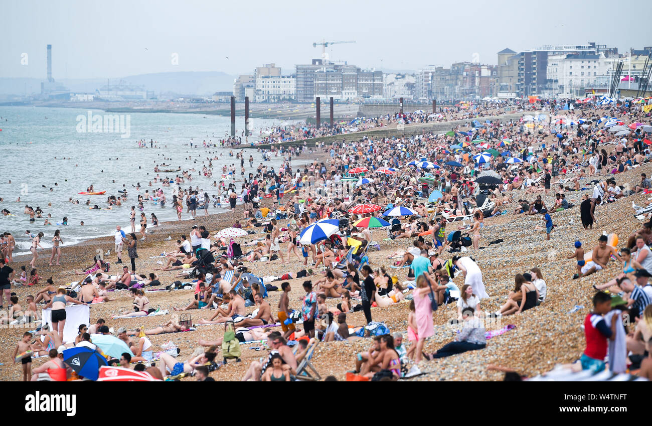 Brighton UK 25. Juli 2019 - Brighton Beach ist auf einen anderen heißen, sonnigen Tag in Großbritannien verpackt als Meteorologen prognostizieren Rekordtemperaturen für Teile des Südostens. Foto: Simon Dack/Alamy leben Nachrichten Stockfoto