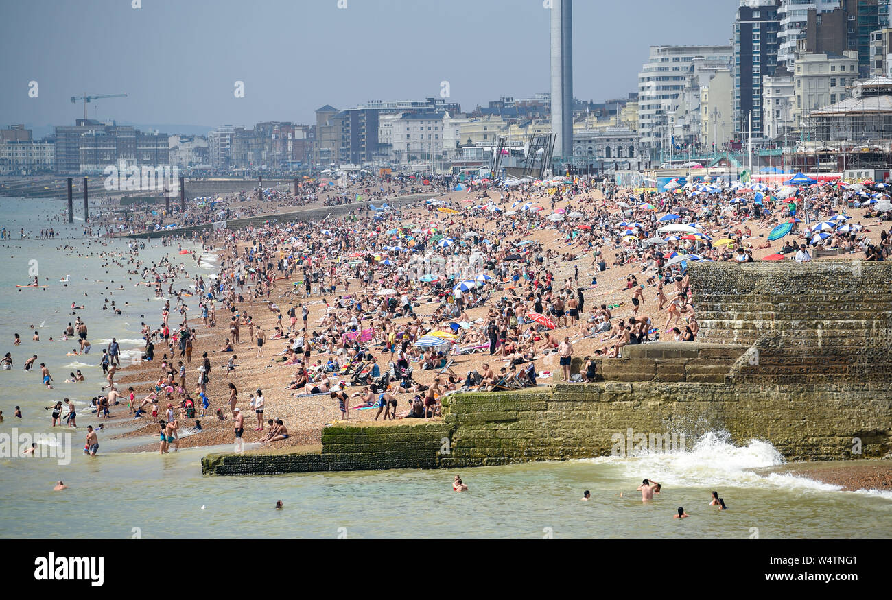 Brighton UK 25. Juli 2019 - Brighton Beach ist auf einen anderen heißen, sonnigen Tag in Großbritannien verpackt als Meteorologen prognostizieren Rekordtemperaturen für Teile des Südostens. Foto: Simon Dack/Alamy leben Nachrichten Stockfoto