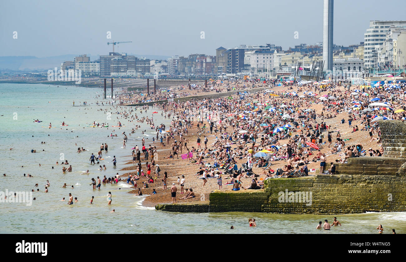 Brighton UK 25. Juli 2019 - Brighton Beach ist auf einen anderen heißen, sonnigen Tag in Großbritannien verpackt als Meteorologen prognostizieren Rekordtemperaturen für Teile des Südostens. Foto: Simon Dack/Alamy leben Nachrichten Stockfoto