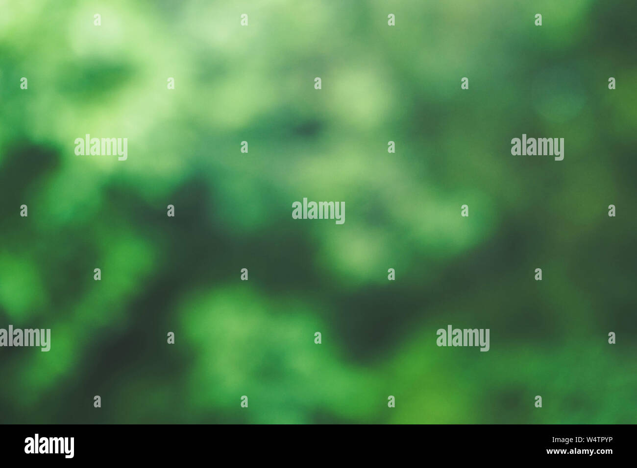 Natürliche grüne Bokeh Hintergrund Stockfoto