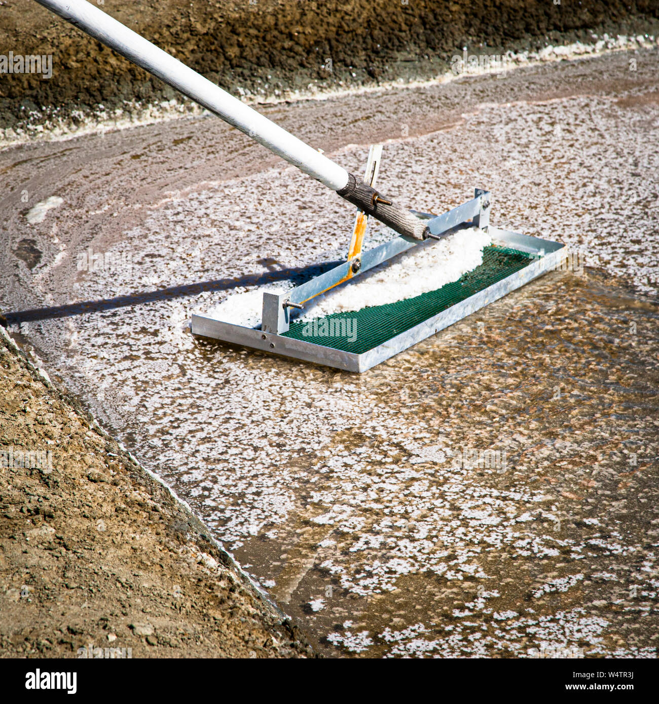 West-Wind Fleur de Sel. Die Salzflocken werden vorsichtig von der Wasseroberfläche geschöpft. Das Werkzeug im flachen Becken darf nicht mit dem Lehmboden in Berührung kommen Stockfoto