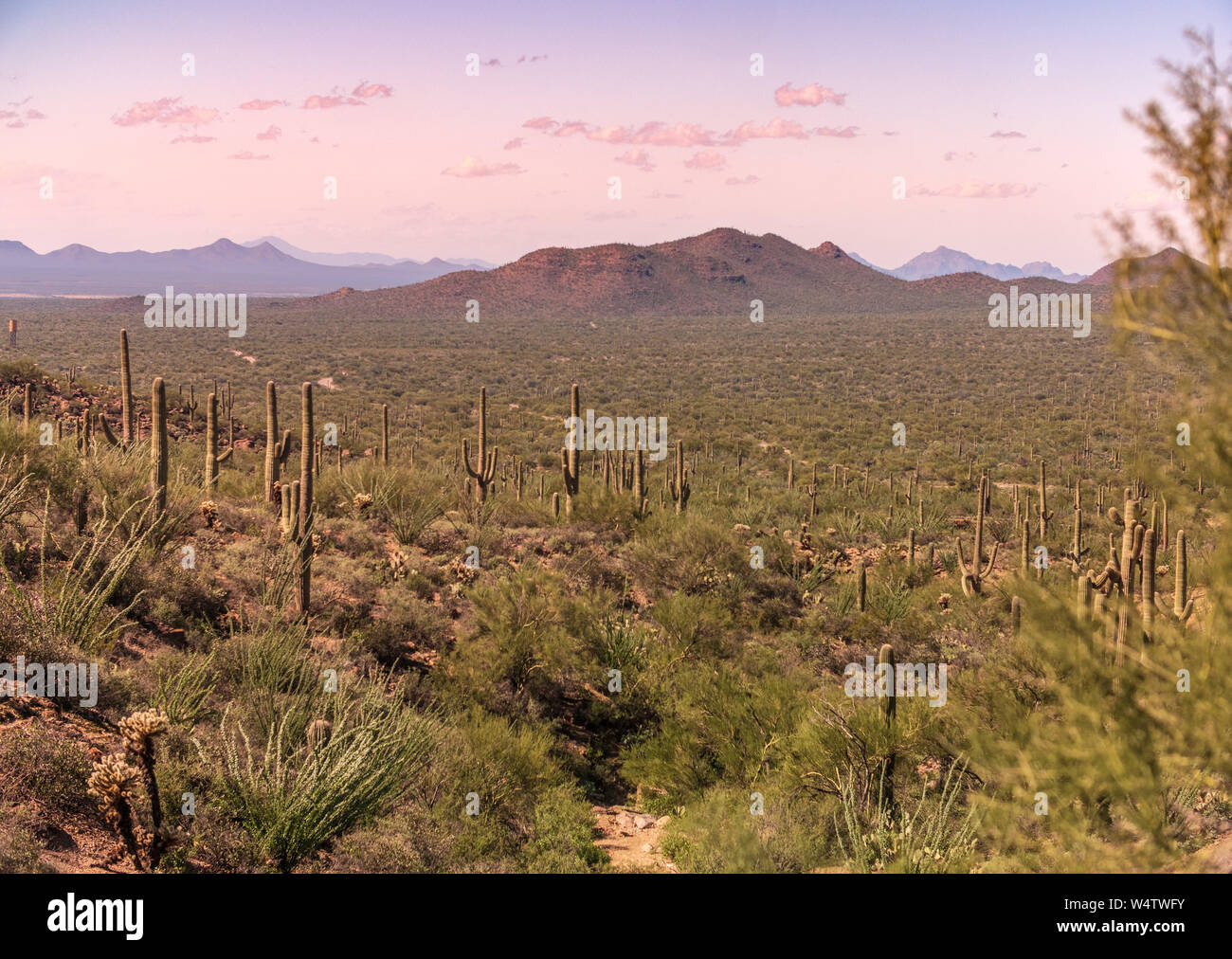 Sonne langsam Einstellung in der Nähe von Tucson Stockfoto
