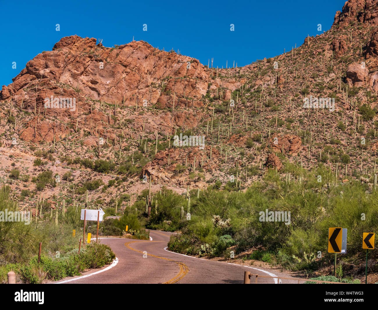 Sonne langsam Einstellung in der Nähe von Tucson Stockfoto