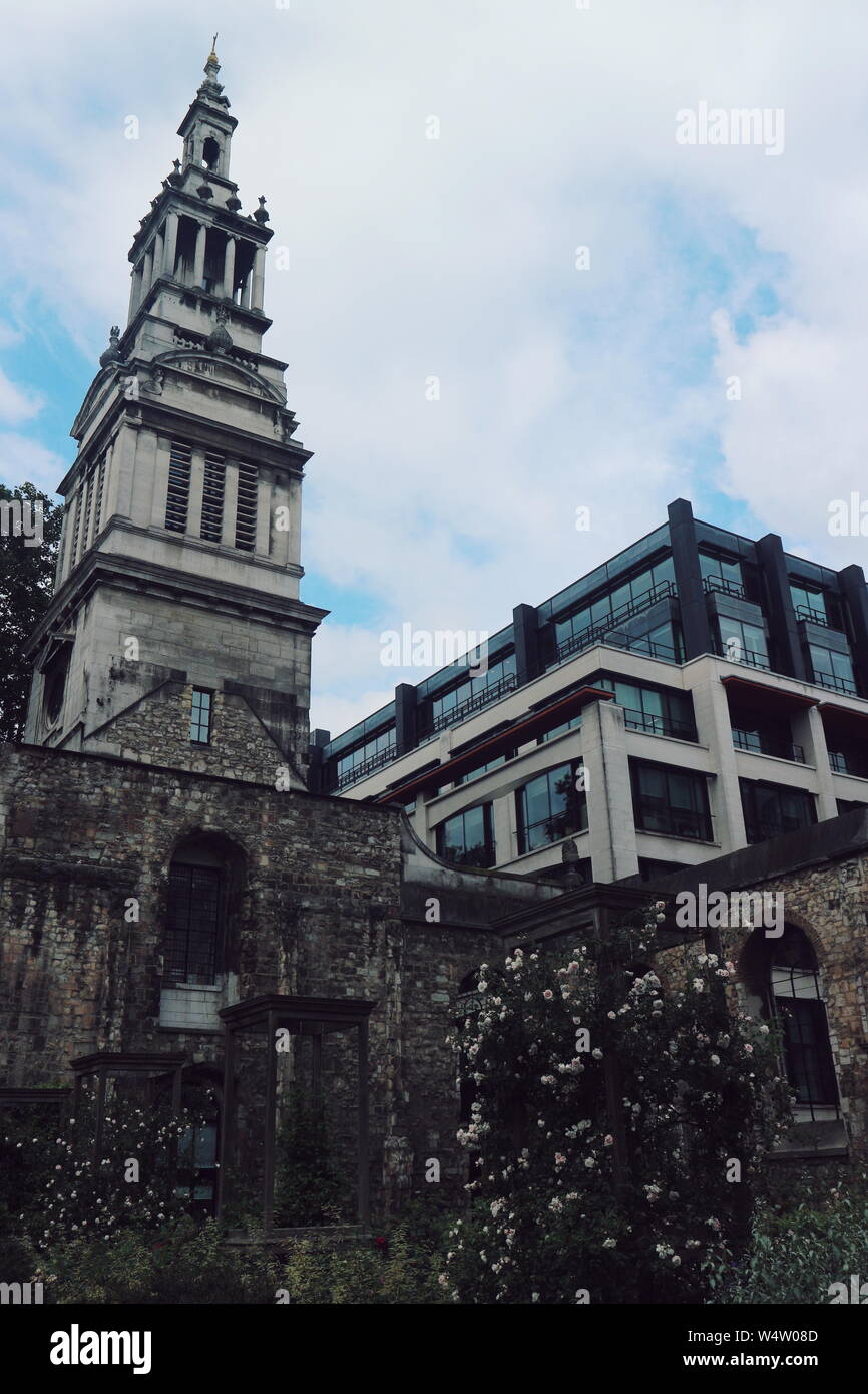 Ein Garten mit Rosen mitten in der Stadt London, England, Großbritannien. Stockfoto