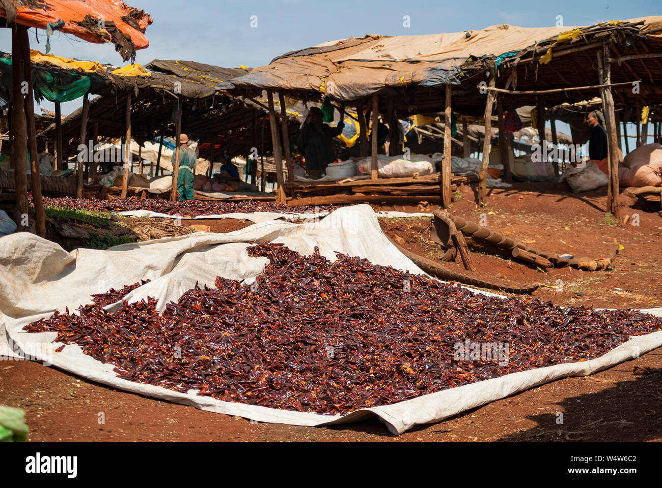 Chilischoten trocknen auf eine große Matte in der Sonne in einem ländlichen Markt in Illubabor, Äthiopien Stockfoto