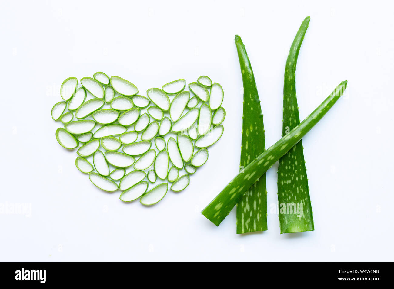 Aloe Vera auf weißem Hintergrund. Stockfoto