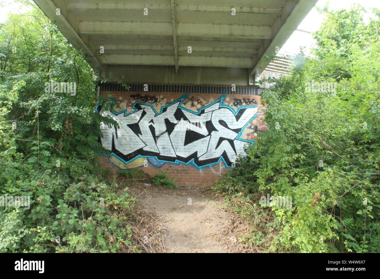 Graffiti unter einer Brücke von grünen Büschen an einem bewölkten Tag umgeben Stockfoto