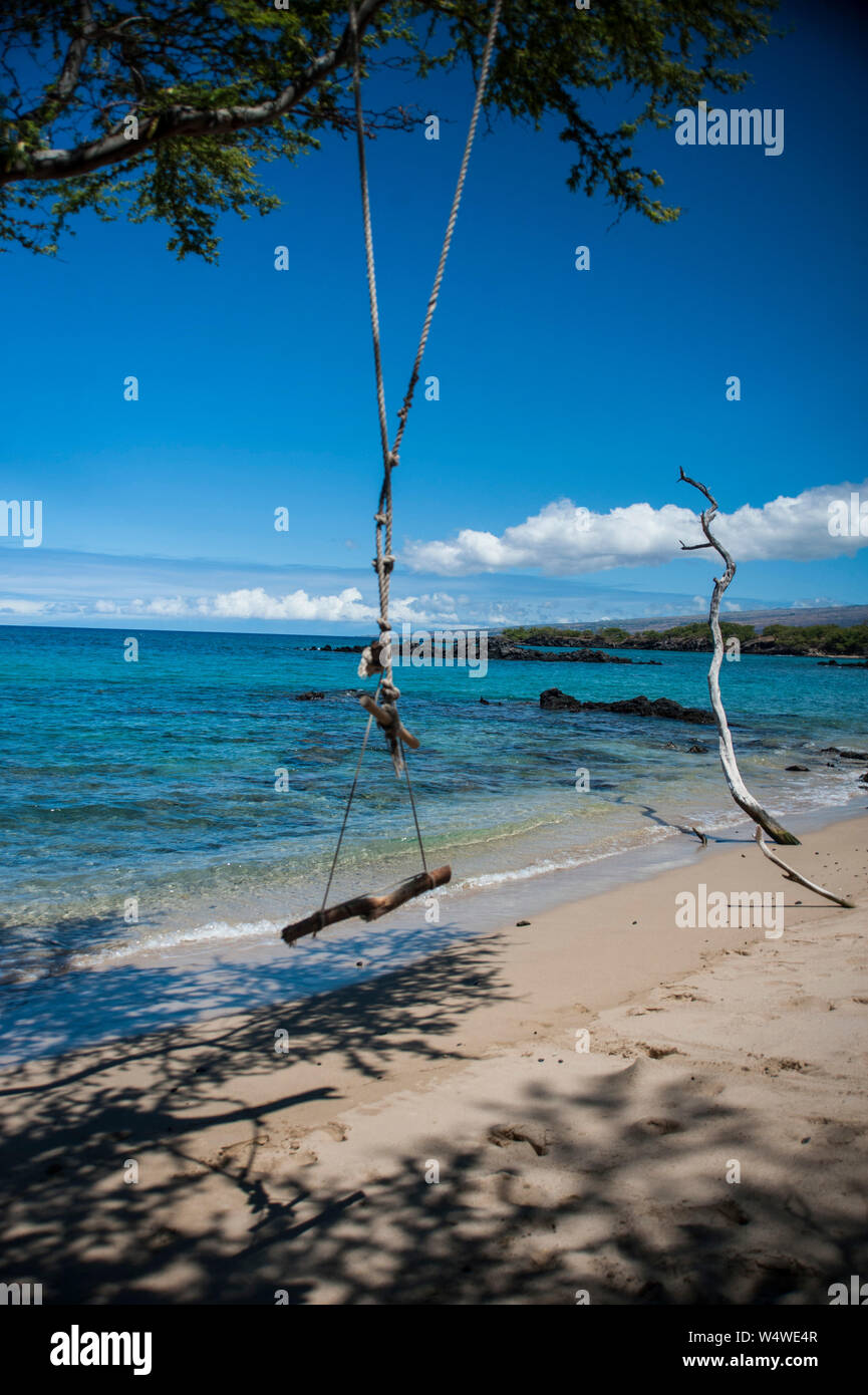 Versteinertes Holz an einem Sandstrand auf der grossen Insel von Hawaii Stockfoto