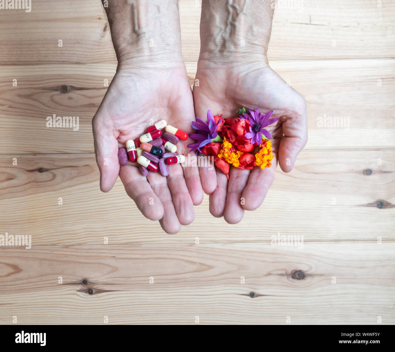 Hände halten Amoxicillin Flucloxacillin Antibiotika, Blumen und Kräuter Pillen. Homöopathie, alternative Medizin ..., Konzept Bild Stockfoto