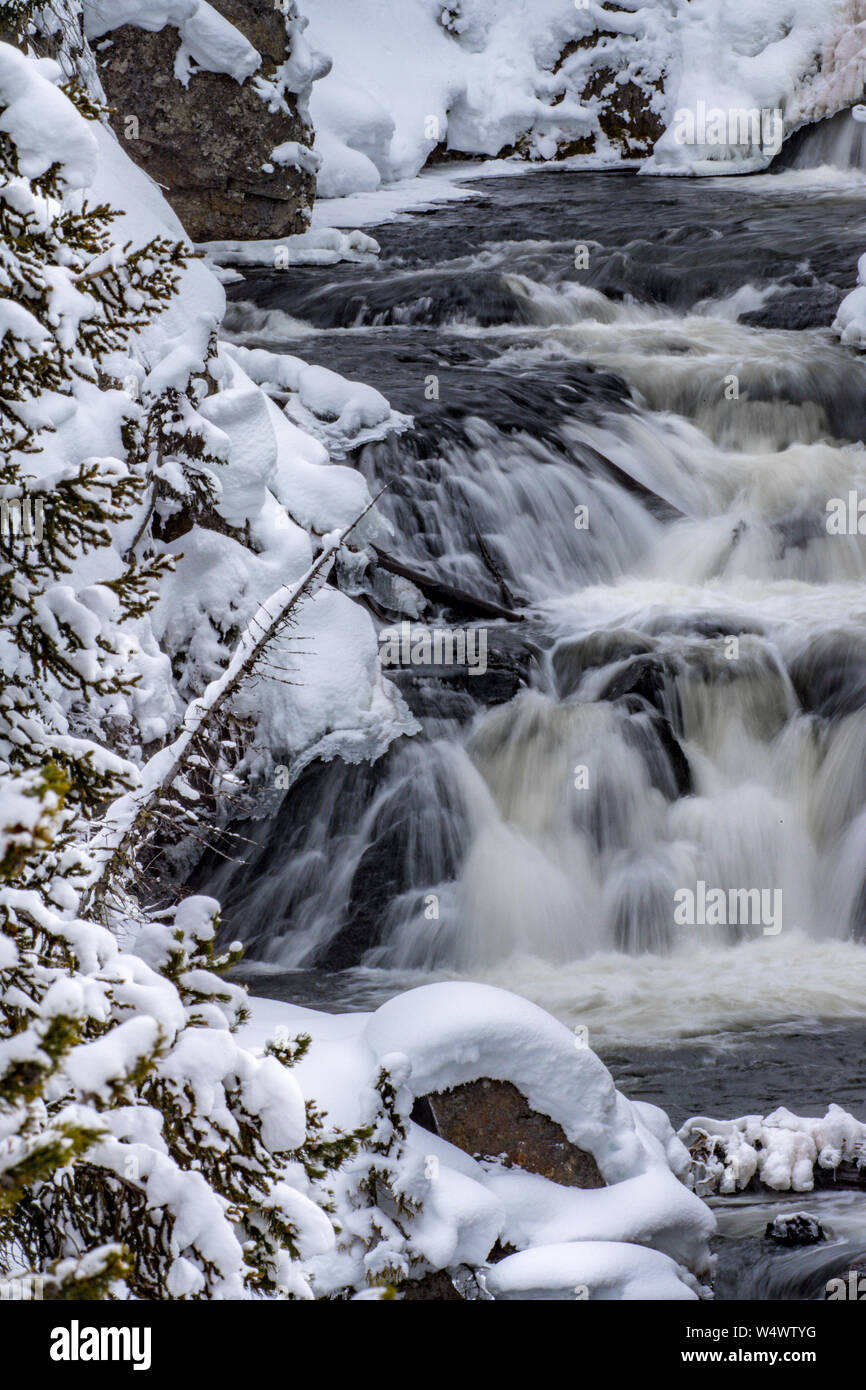 Wasserfälle und Wasserfälle umgeben von Pinien und Schnee in Yellowstone Stockfoto