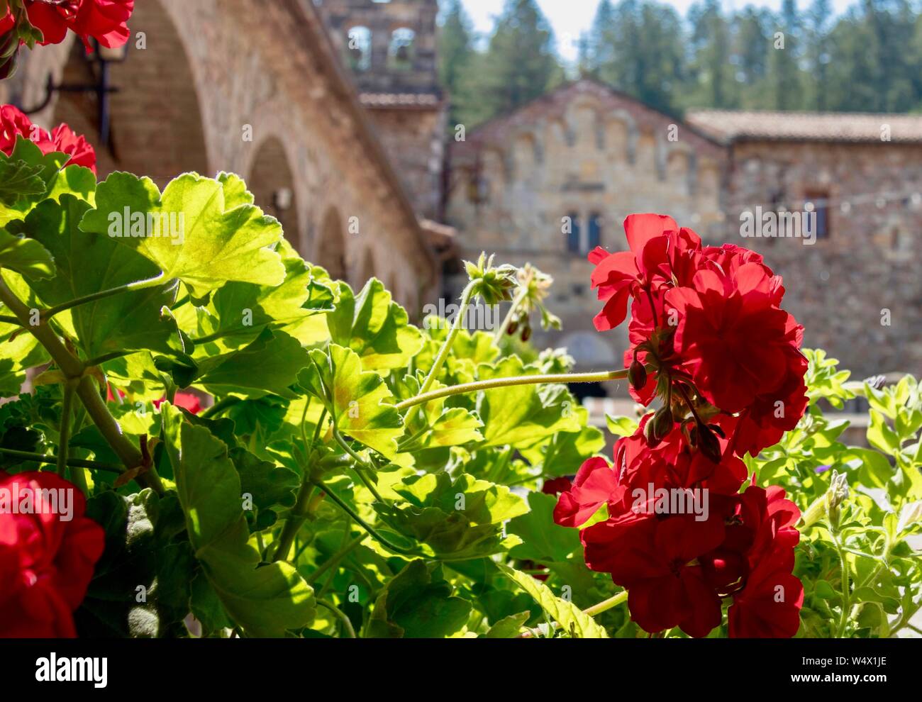 Castello di Amorosa Winery in Calistoga, Kalifornien Stockfoto