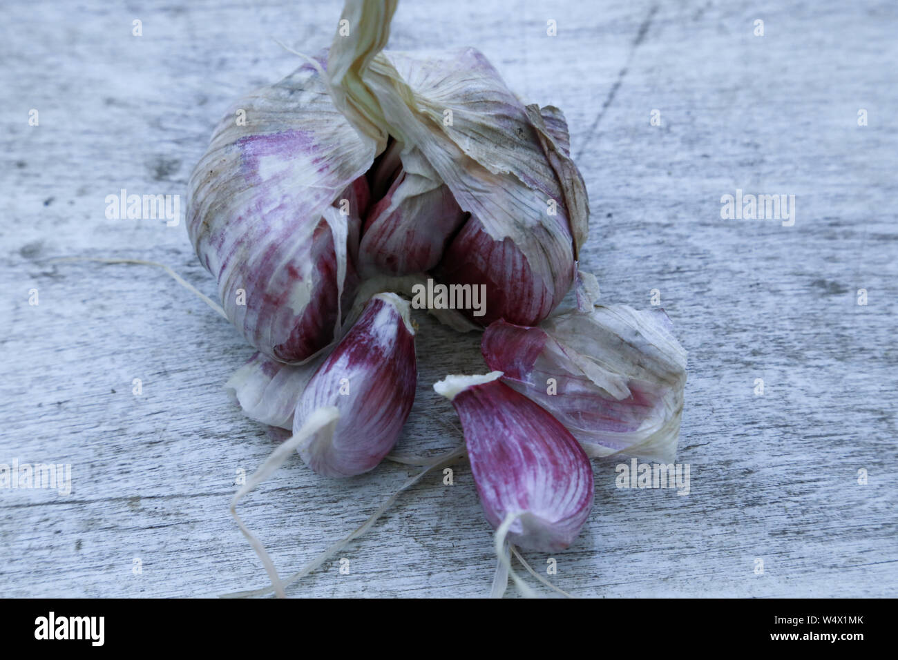 Frischer Knoblauch auf vintage Tabelle close up, Knoblauch, Zwiebel Knoblauchzehen in Houten, Stockfoto