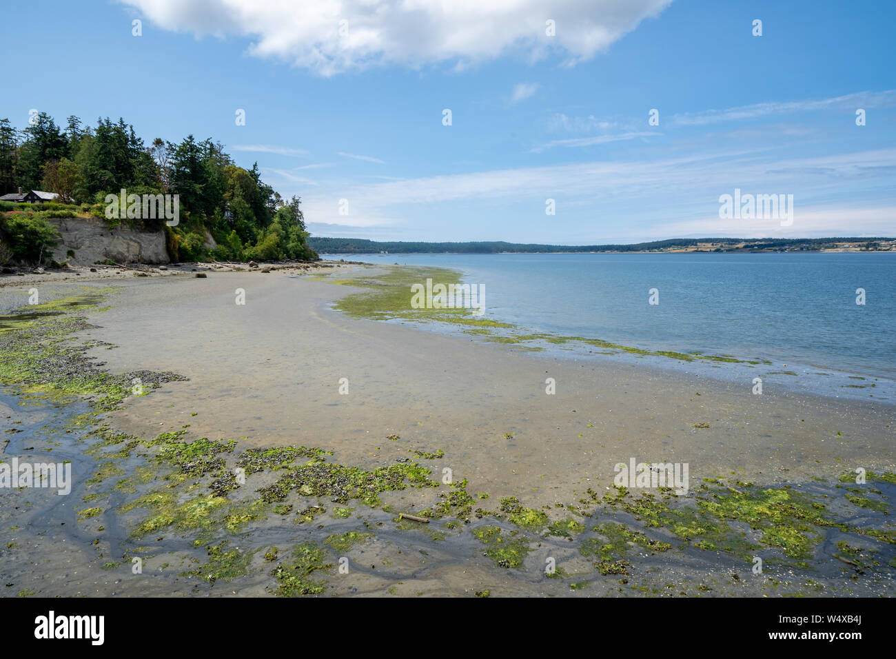 Blick auf die Küste in der Nähe der Coupeville Wharf auf Whidbey Island im Staat Washington bei Ebbe Stockfoto
