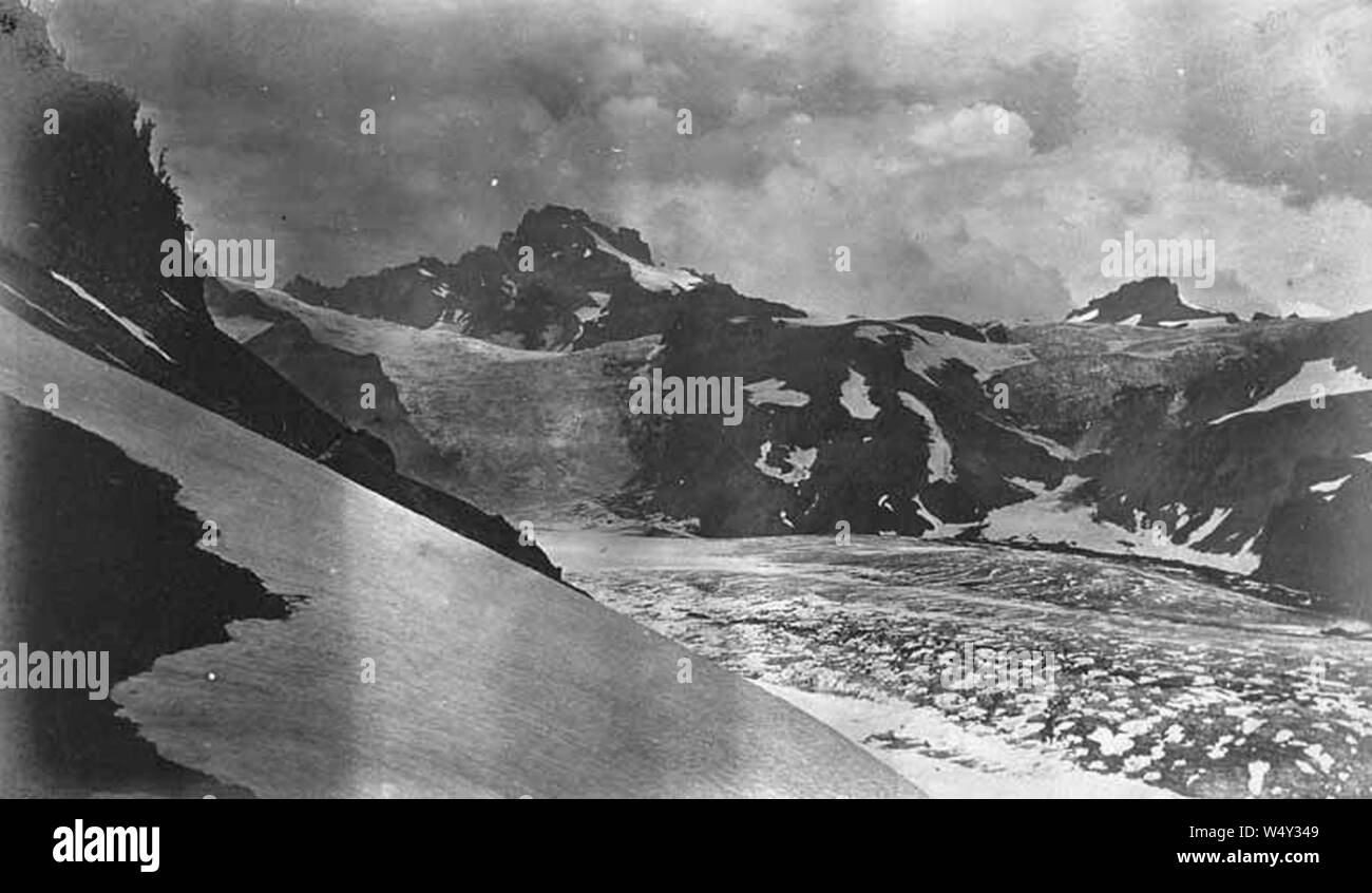 Cowlitz Gletscher Mount Rainier National Park 1905 (WASTATE 2221). Stockfoto