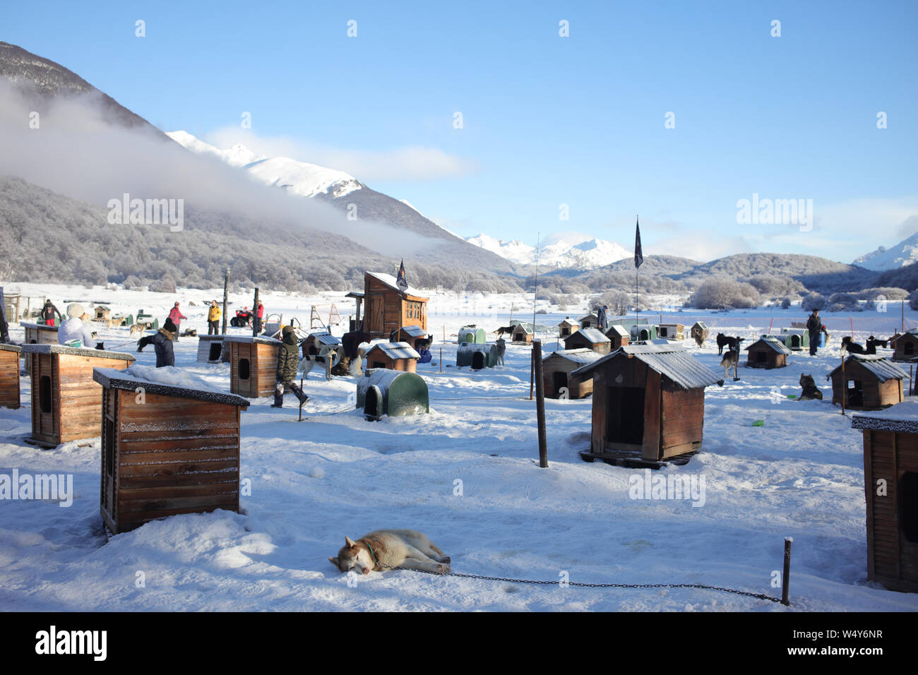 Las Cotorras winter Zentrum Tierheim und Schlitten tour in Ushuaia, Tierra del Fuego Stockfoto
