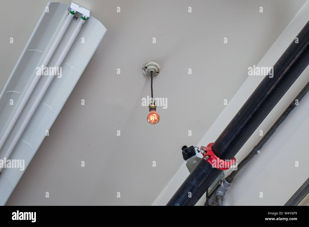 Niedrig - Blickwinkel - der 100-Lampe, der längste der Welt - brennende  Glühbirne, ursprünglich im Jahre 1901 installiert,