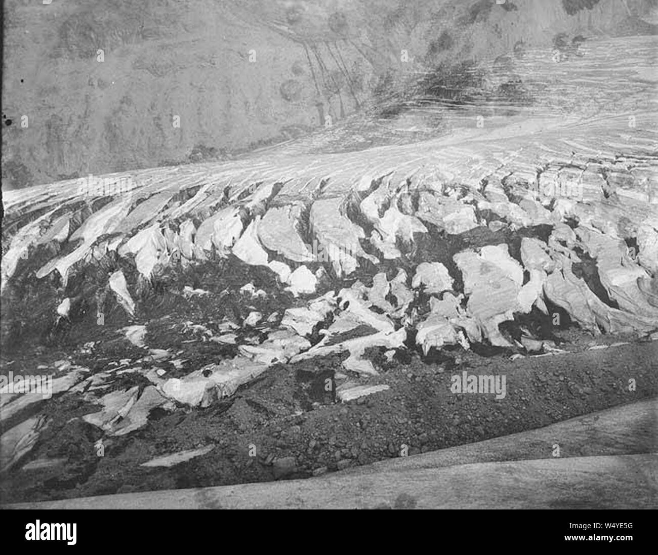 Gletscherspalten in Nisqually Gletscher Südhang des Berges 18 1895 Rainier August (WAITE 50). Stockfoto