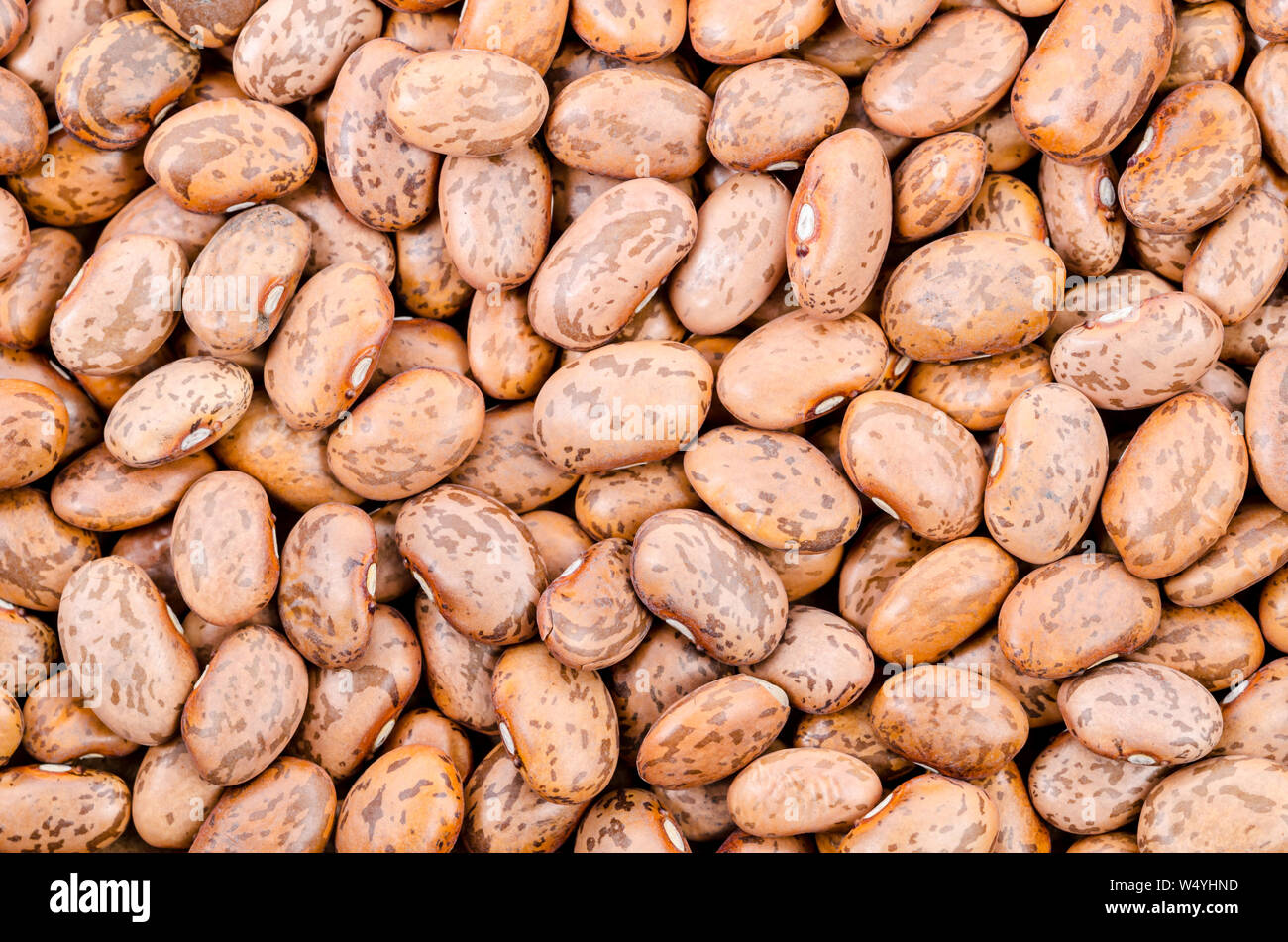 Cranberry Bean Textur Hintergrund. Auch Borlotti Bohnen oder Shell Bohne genannt. Cranberry Beans sind mit roten Flecken abgerundet. Stockfoto