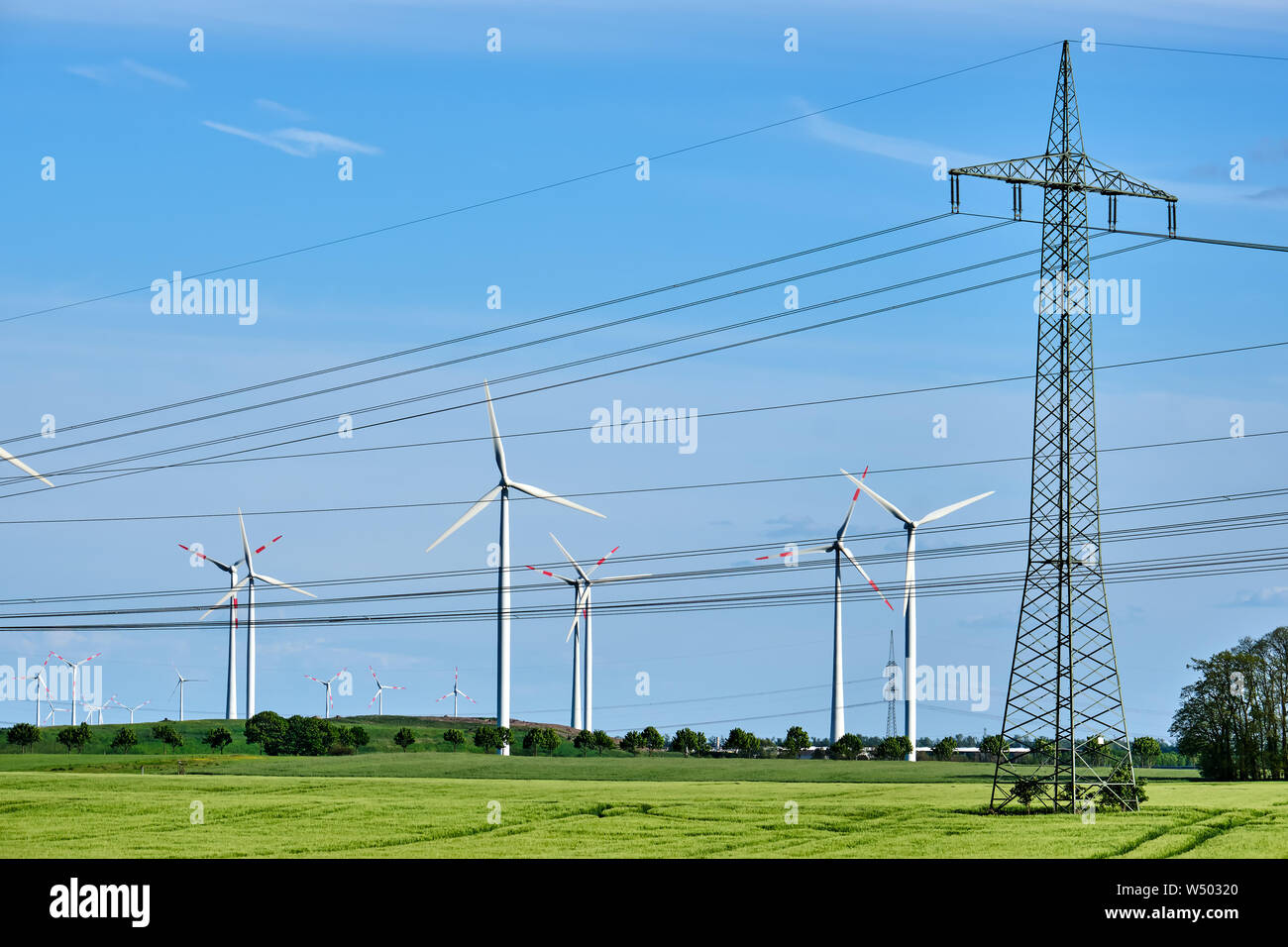 Wind Räder und Stromleitungen in einem Maisfeld in ländlichen Deutschland Stockfoto