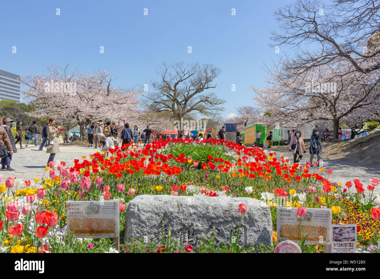 Fukuoka, Japan - 02 April 2019: Bunte Blume Bett in Maizuru Park, Fukuoka. Es gibt wunderschöne Kirschblüten im Frühling. Stockfoto