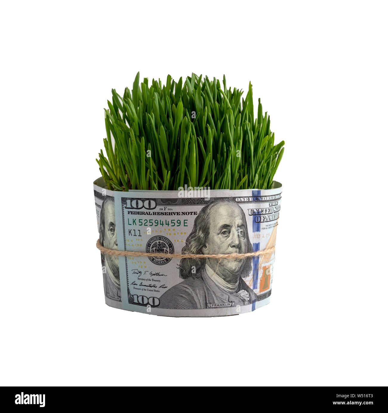Konzept Gras wachsen aus der US-Dollar mit einer verknoteten Mund Wirtschaft. Die Bedeutung der Ökologie. Stockfoto