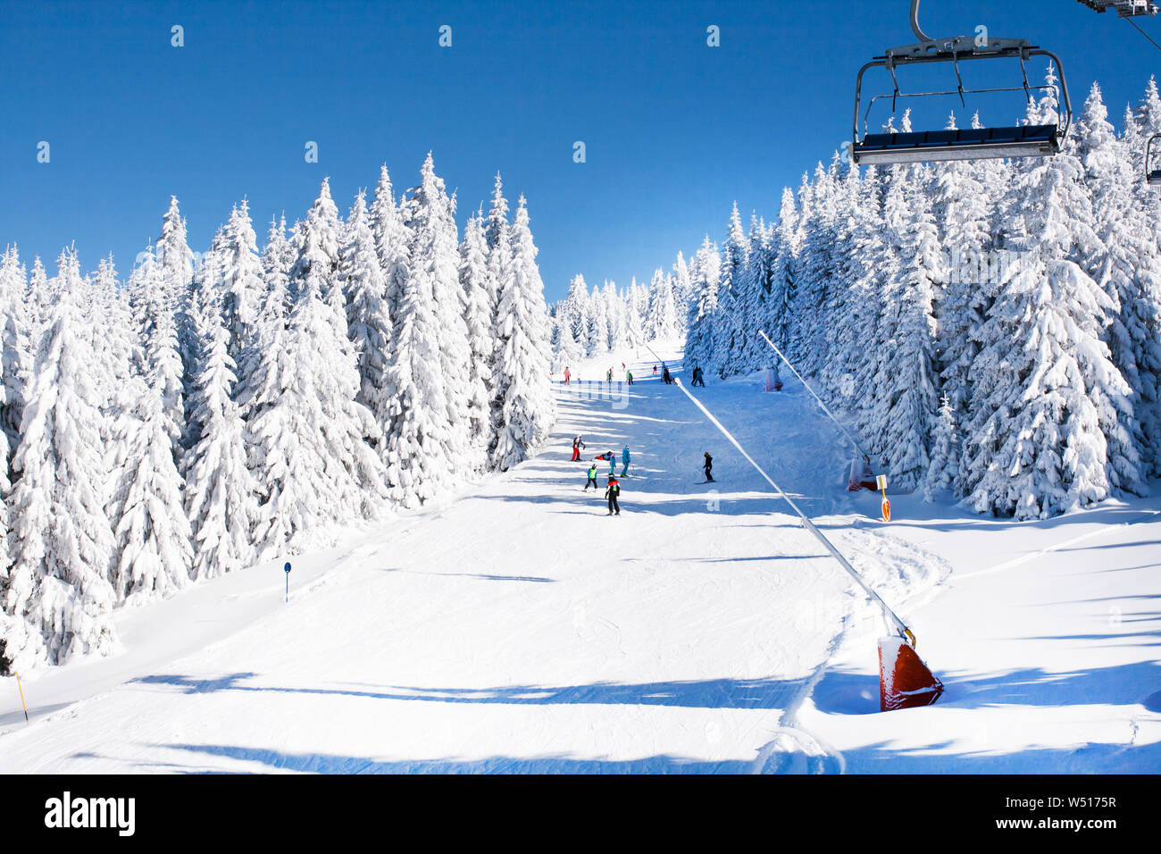 Ski Resort, Skipiste, Skilift, Skifahrer auf der Piste unter weißen Schnee Pinien Wald Stockfoto