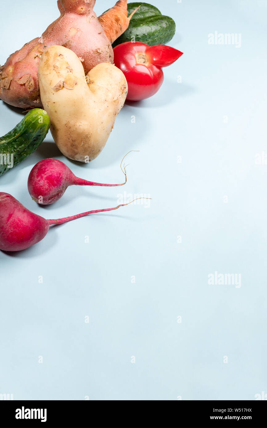 Reifen hässlich Gemüse: Kartoffeln, Tomaten, Karotten, Gurken und Radieschen auf hellblauem Hintergrund. Stockfoto