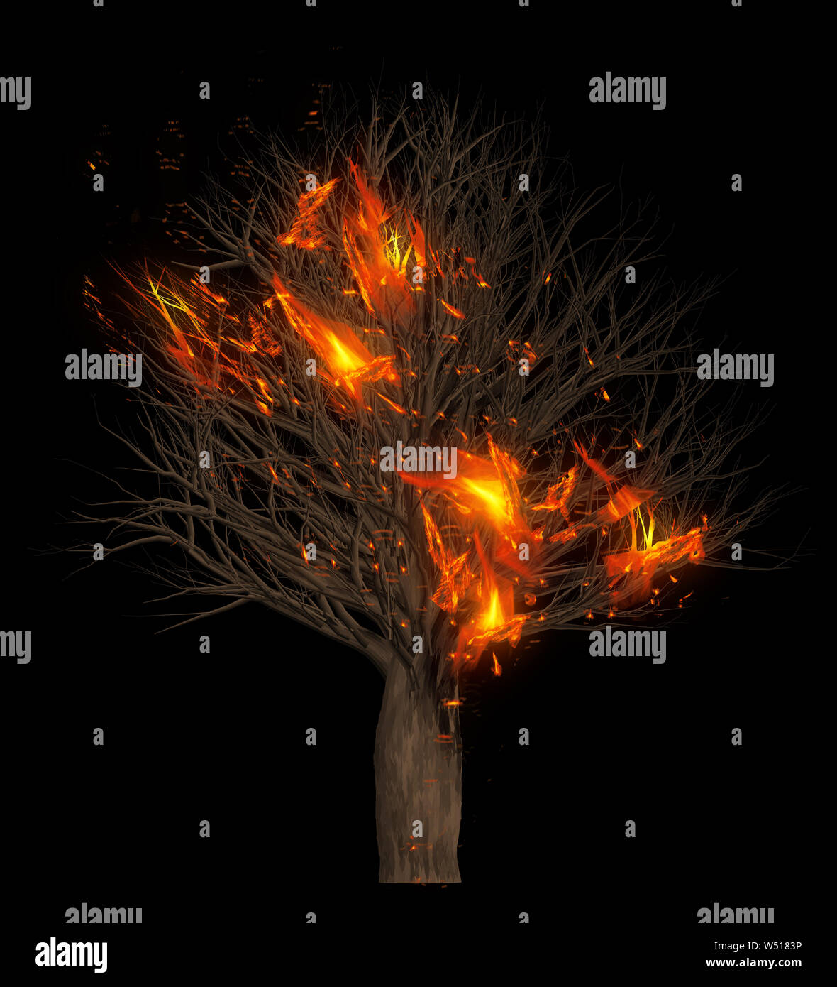 Flammen brennen trockene Bäume. 3D-Darstellung. Schwarze Farbe Hintergrund isolieren. Stockfoto
