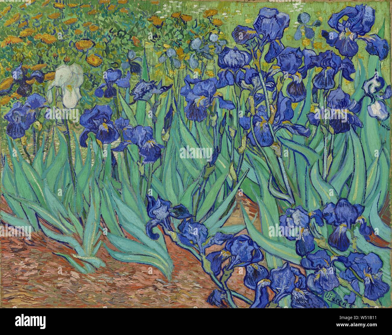 Schwertlilien, Vincent van Gogh (Niederländisch, 1853 - 1890), Saint-Rémy, Frankreich, Europa, 1889, Öl auf Leinwand, 74,3 × 94,3 cm (29 1/4 x 37 1/8 in. Stockfoto