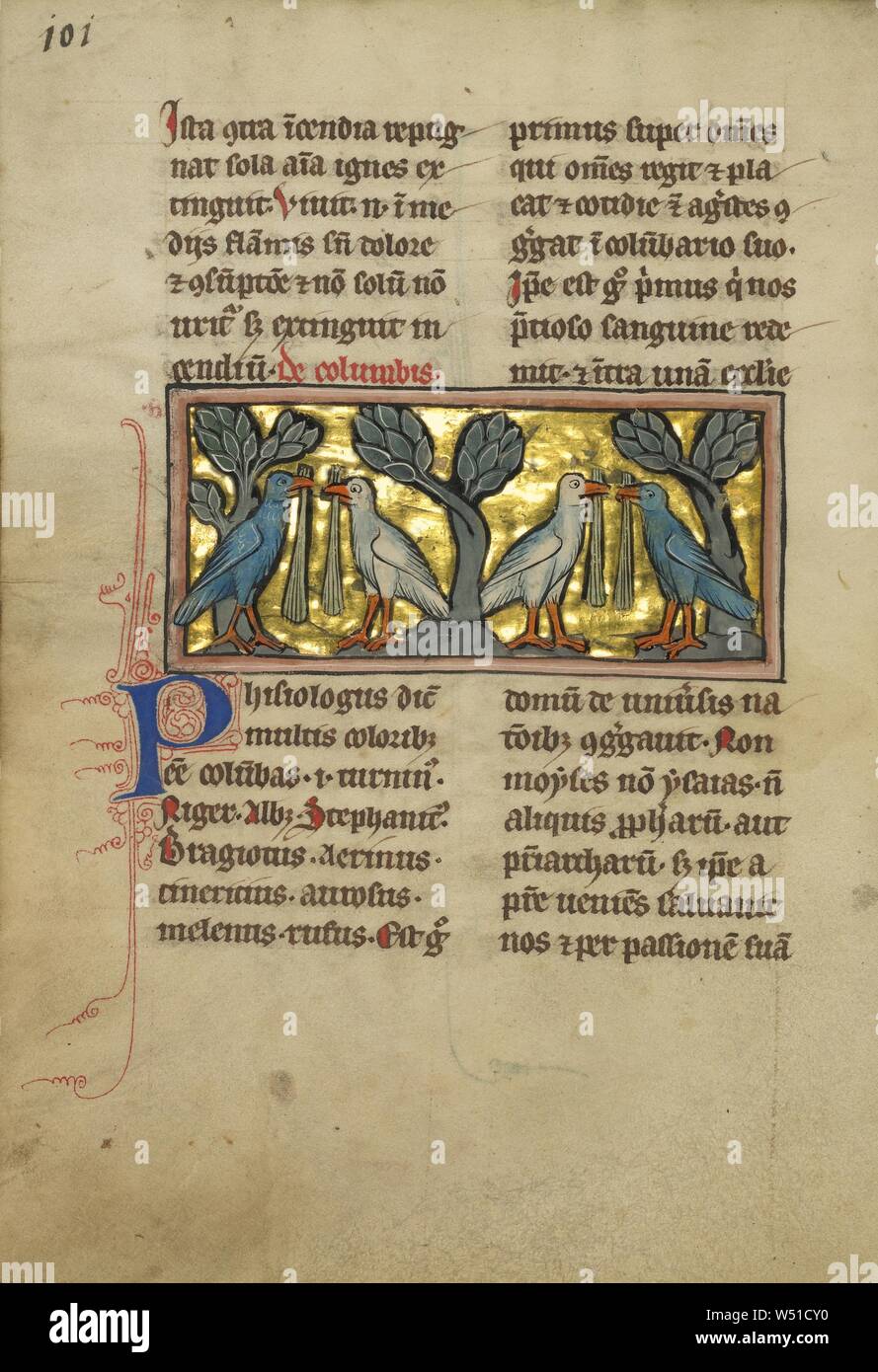 Zwei Paare von Tauben, Unbekannt, Marne?, Frankreich (ehemals Flandern), im vierten Quartal des 13. Jahrhunderts (nach 1277), Tempera Farben, Feder und Tinte, Blattgold und Gold Farbe auf Pergament, Blatt: 23,3 x 16,4 cm (9 3/16 x 6 7/16 Stockfoto