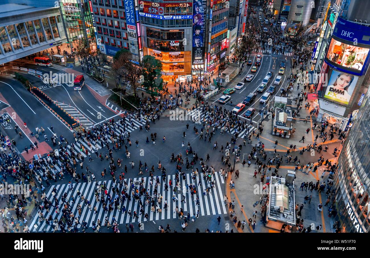 Shibuya Crossing von oben, Massen von Leuten an der Kreuzung mit der Straßenbeleuchtung und farbenfrohe Schilder beleuchtete, beleuchtete Werbung in der Stockfoto