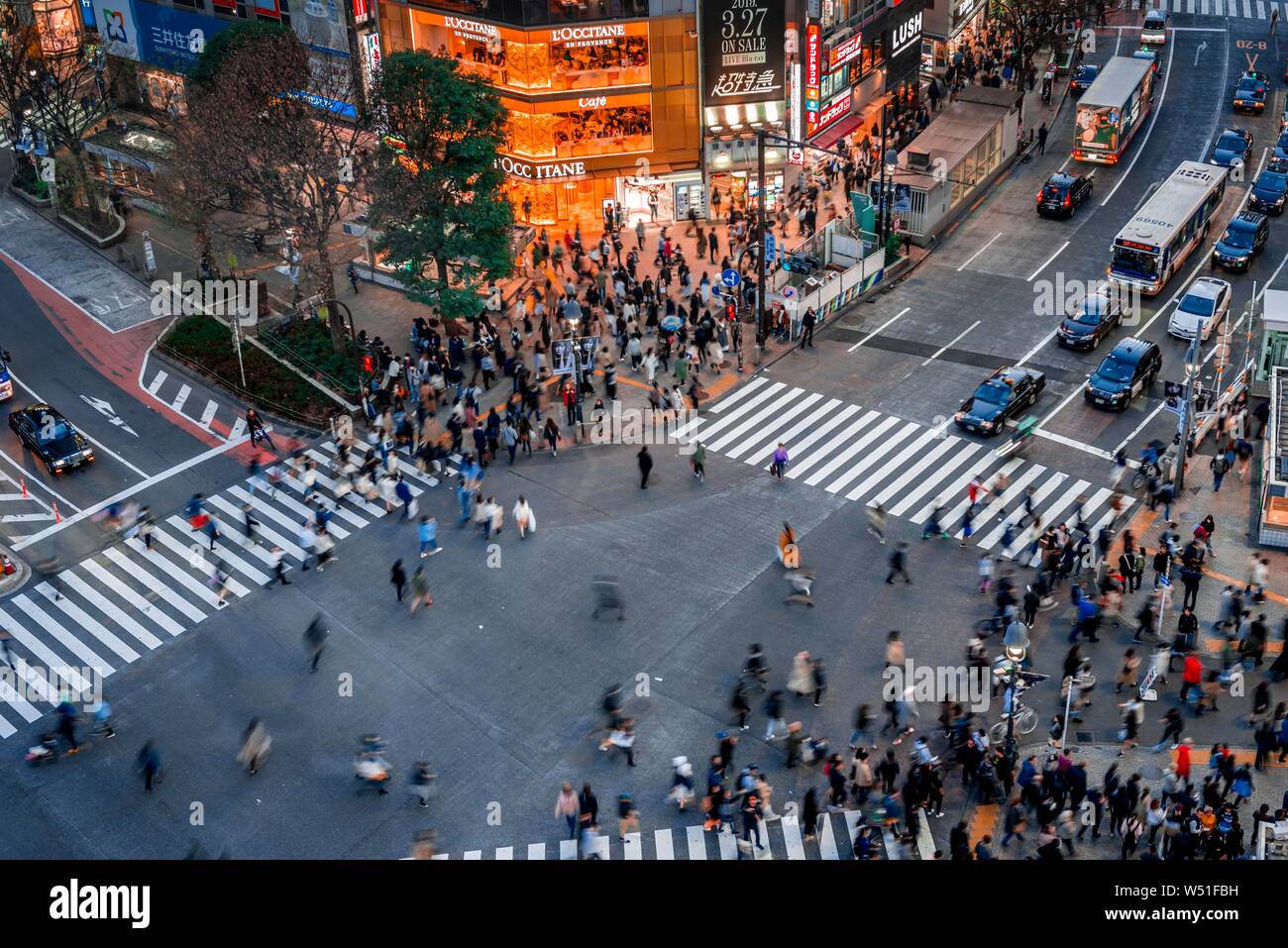 Shibuya Crossing von oben, Massen von Leuten an der Kreuzung mit der Straßenbeleuchtung und farbenfrohe Schilder beleuchtete, beleuchtete Werbung in der Stockfoto