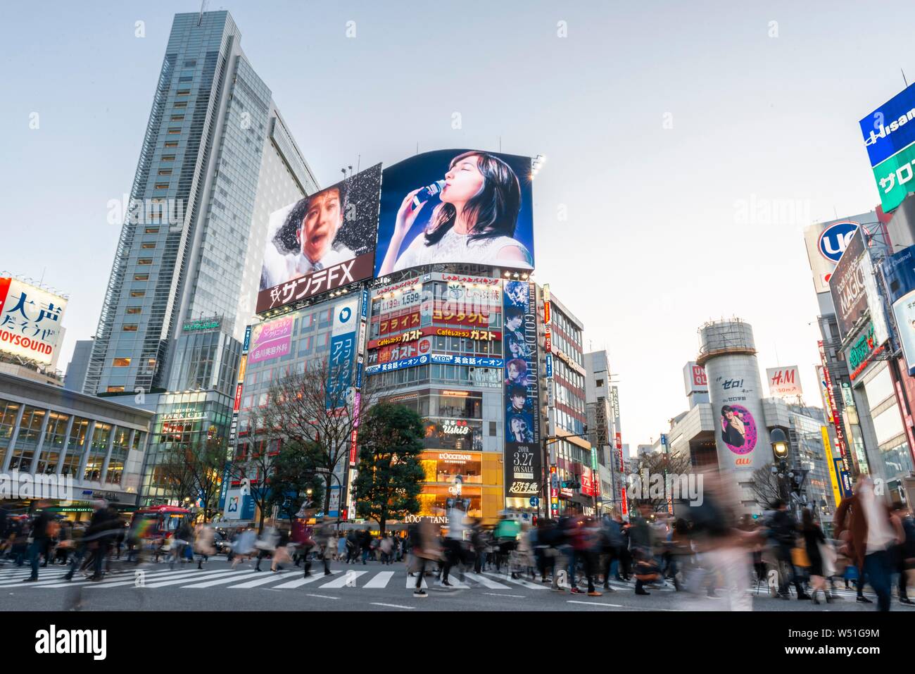 Shibuya Crossing, Kreuzung mit vielen Fußgänger, viele Einkaufszentren und Geschäfte, beleuchtete Werbung auf Wolkenkratzer, Shibuya, Tokio, Japan Stockfoto