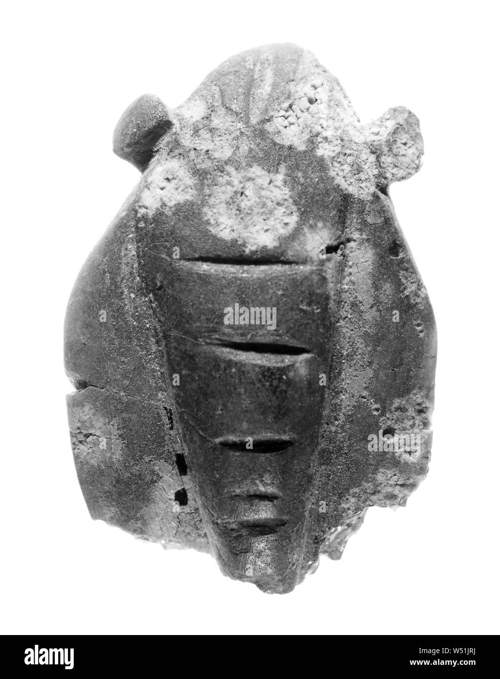 Raupe, Unbekannt, Italien, 5.Jahrhundert v. Chr., Gelb Stockfoto