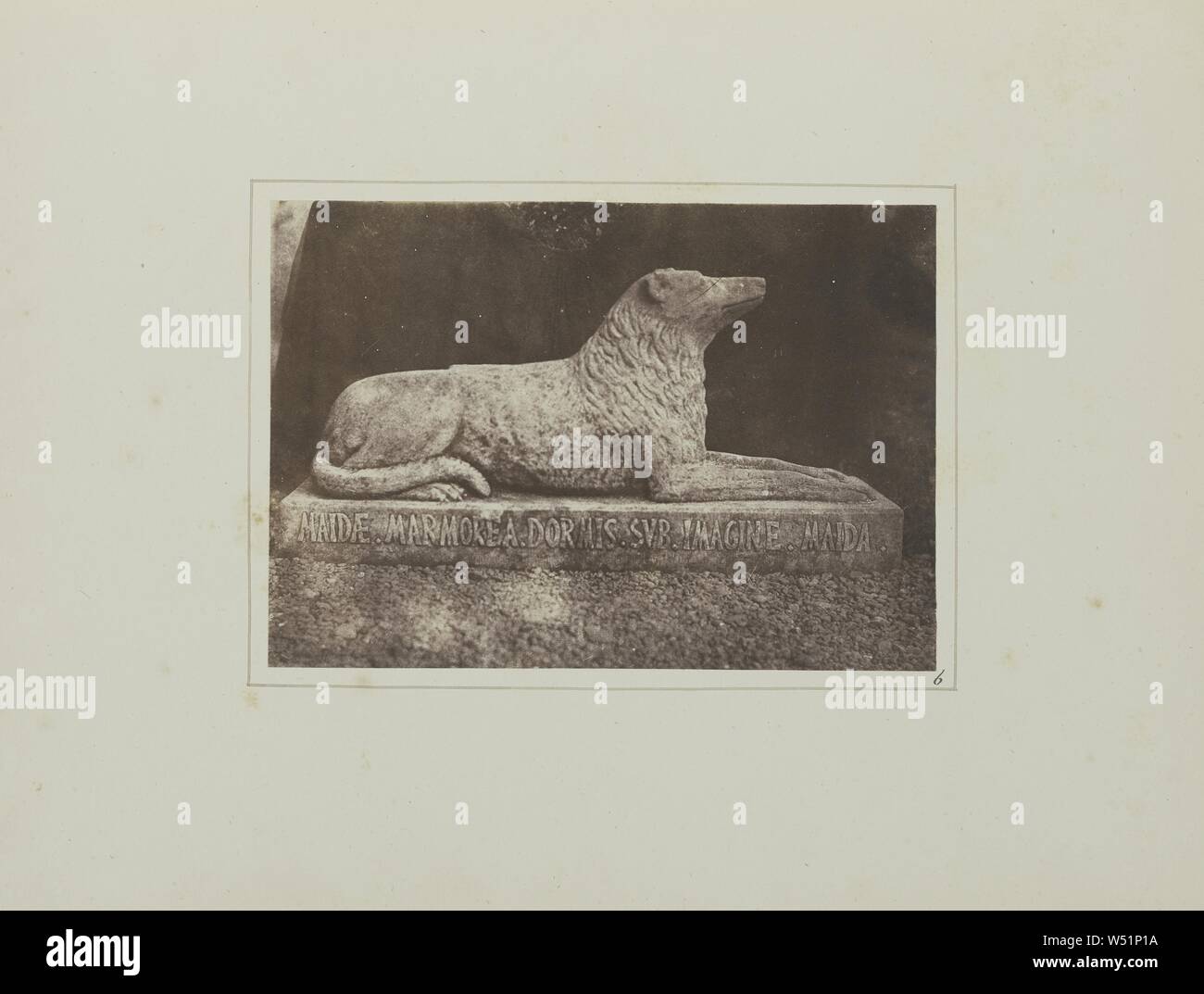 Bildnis von Sir W. Scott's Liebling hund Maida, von der Seite der Halle Tür in Abbotsford, William Henry Fox Talbot (Englisch, 1800-1877), Schottland, 24. Oktober 1844, gesalzen Papier drucken, 11,4 × 16,3 cm (4 1/2 x 6 7/16 in Stockfoto