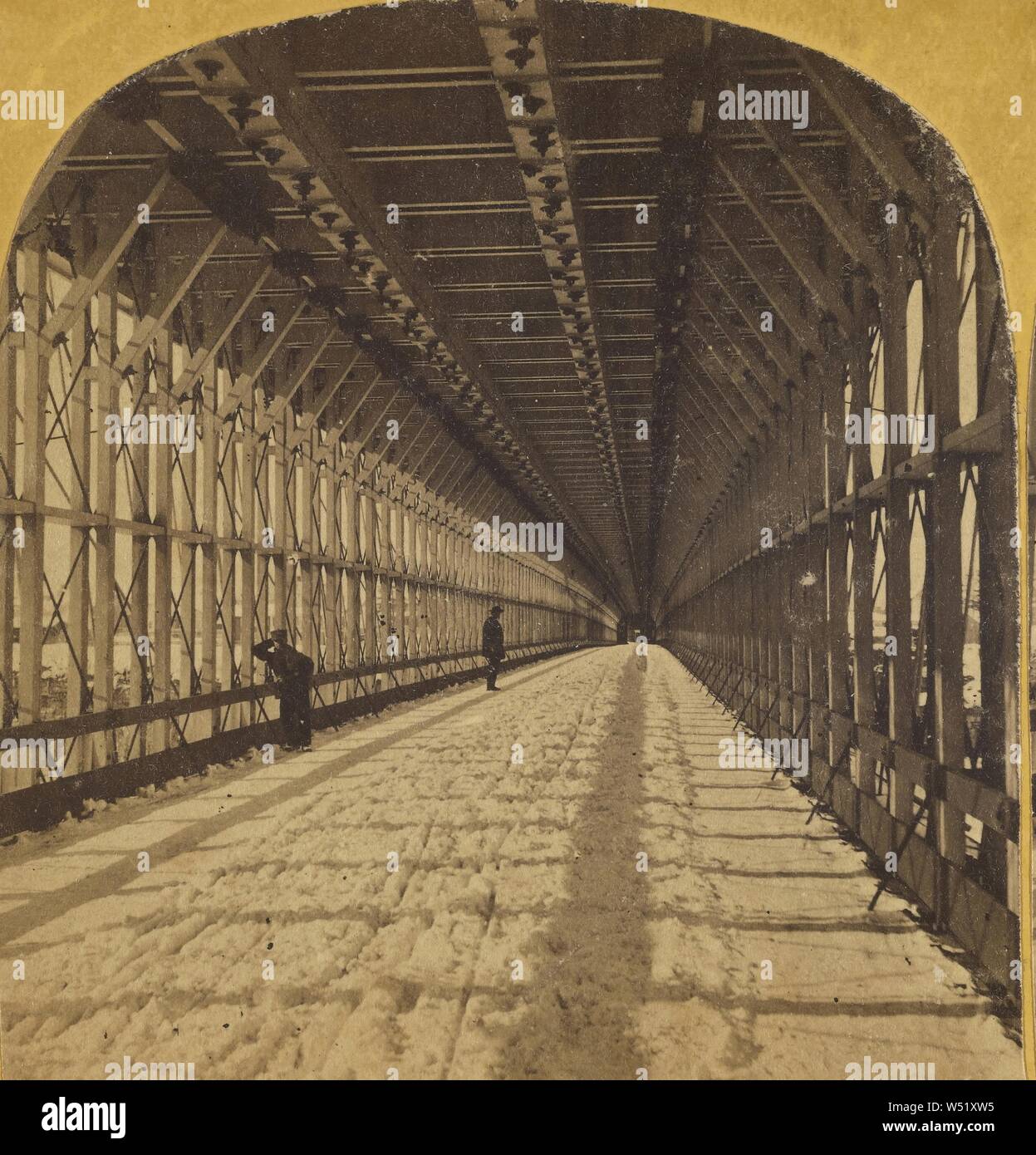 Interieur Suspension Bridge. Niagara, Unbekannten, amerikanischen, ca. 1865 - 1875, Eiweiß silber Drucken Stockfoto