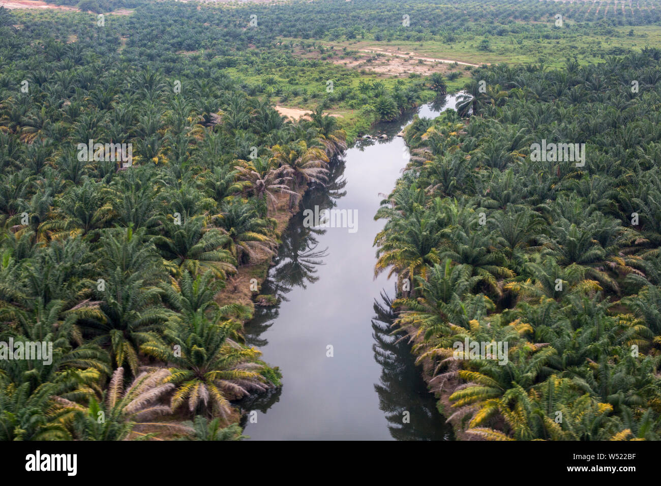 Luftbild Von Palmolplantage In Selangor Malaysia Stockfotografie Alamy