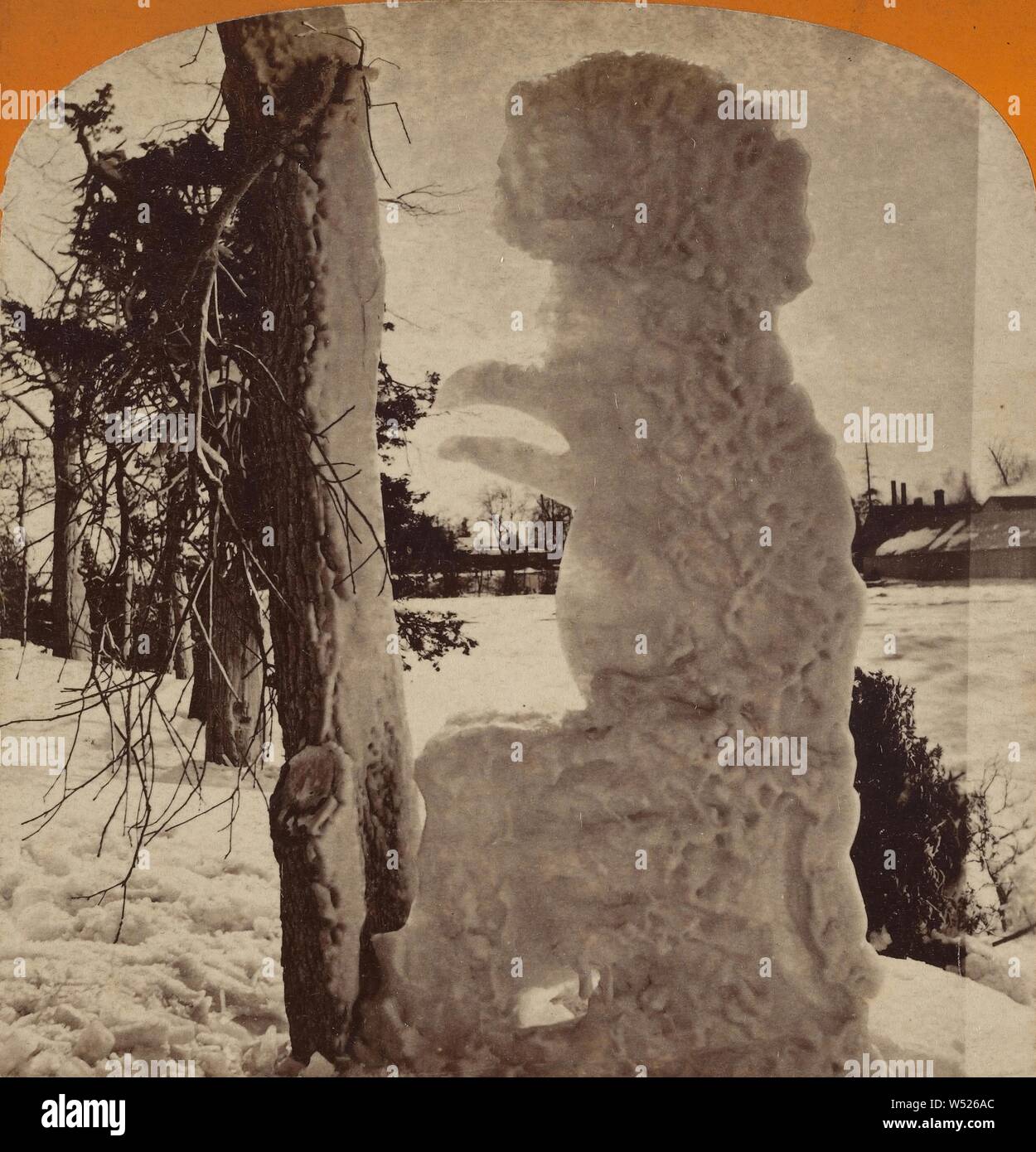 Winterlandschaft im Prospect Park Niagara Falls, New York, George E. Curtis (USA, 1830 - 1910), ca. 1869, Eiweiß silber Drucken Stockfoto