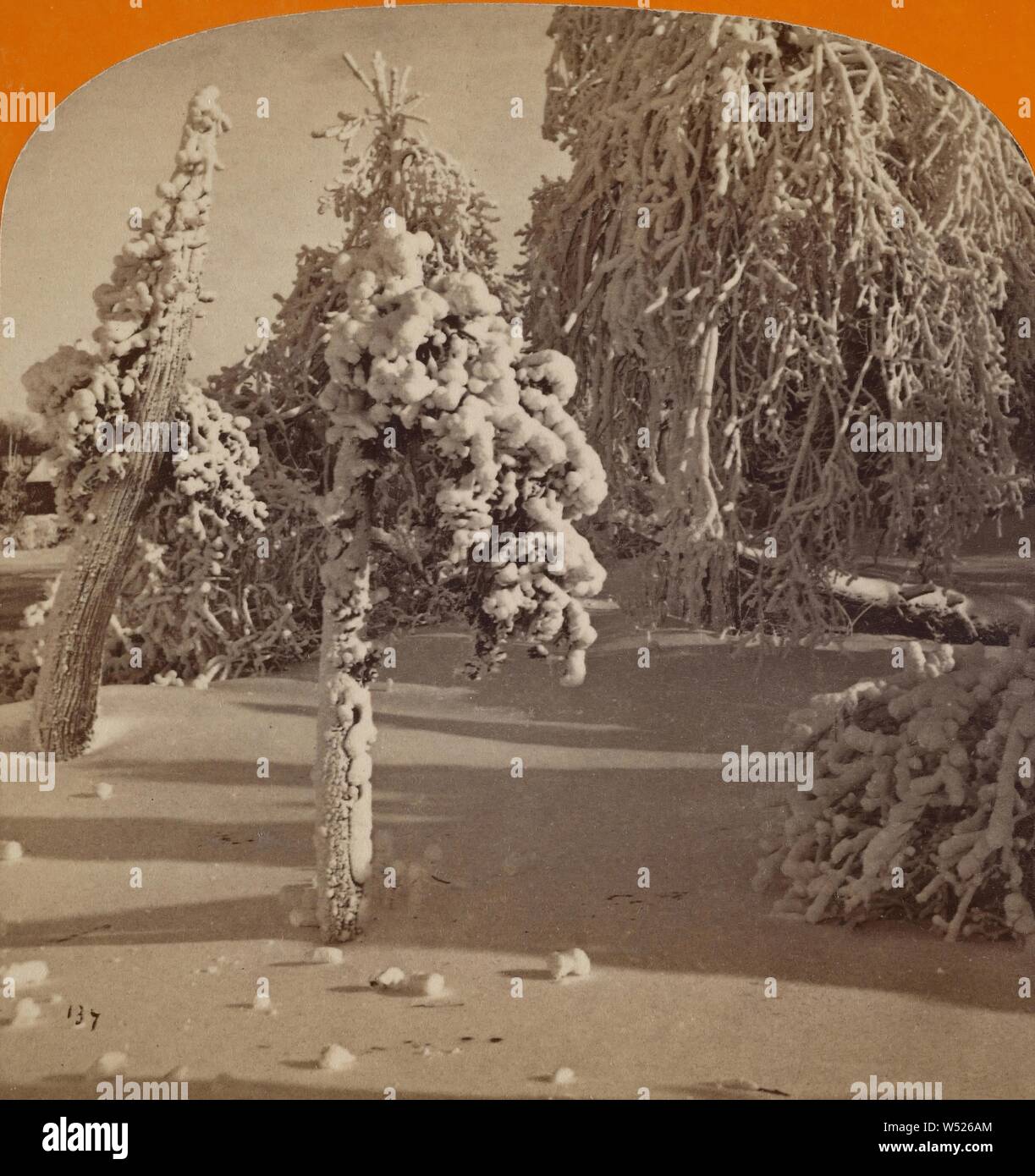 Sonnenlicht und Schatten - Luna Island - Winter. Niagara Falls, New York, George E. Curtis (USA, 1830 - 1910), ca. 1869, Eiweiß silber Drucken Stockfoto