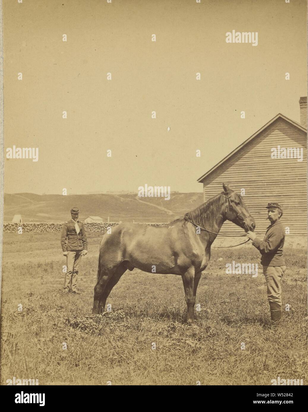 Krieg Pferd Comanche. Capt. Myles Keoghs 'Pferd Comanche, die von zahlreichen Pfeil & Schussverletzungen am Little Big Horn verwundet wurde, Frank Jay Haynes (American, 1853 - 1921), 1885-1888, Eiweiß silber Drucken Stockfoto