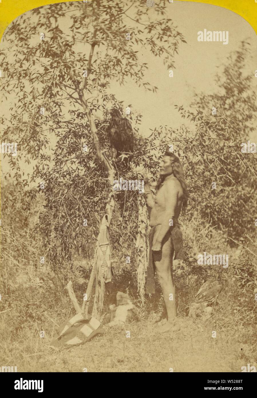 Nau-no-kwits und sein Adler. U-In-Ta Utes. Das Leben in der U-in-ta Tal, am Westhang der Wasatch Berge in Utah., John K. Hillers (American, 1843 - 1925), ca. 1874, Eiweiß silber Drucken Stockfoto